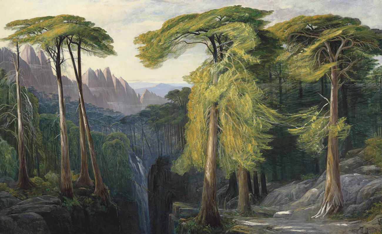 Westerwood is a dense forest atop rugged mountains. Forest of Bavella by Edward Lear