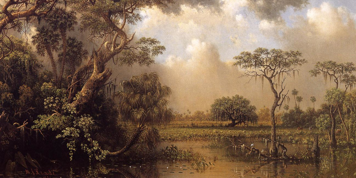 Nightglade is a vast marsh. The Great Florida Marsh by Martin Johnson Heade.jpeg