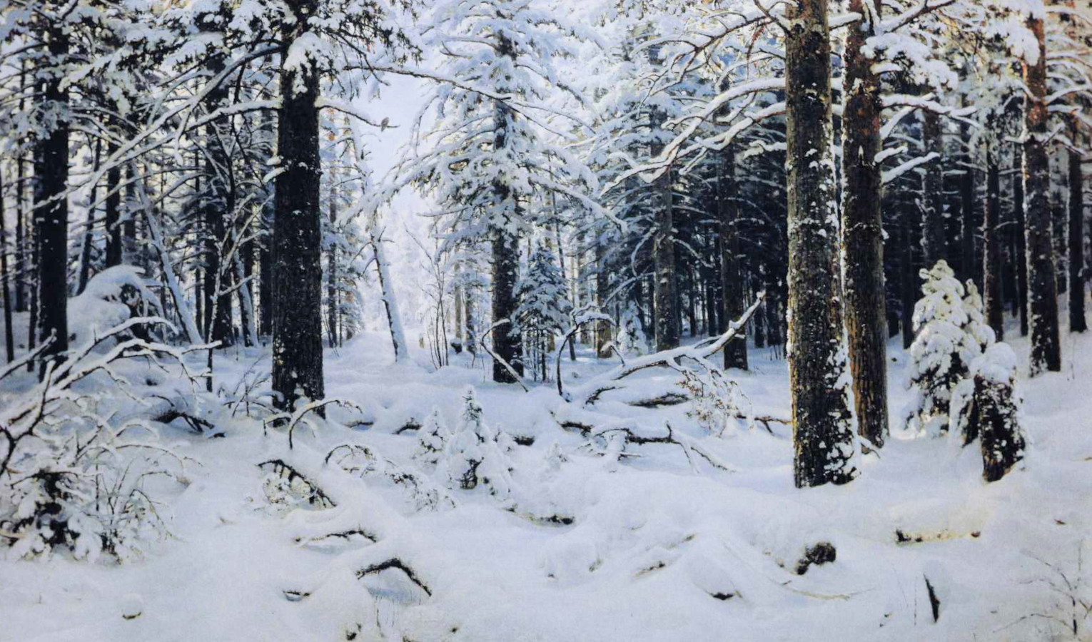 Valorgale is a volcanic taiga. Winter by Ivan Shishkin